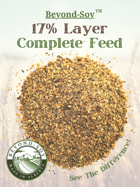 17% Layer complete feed for poultry.  No soy meal, mash format Farmstead Life Feeds