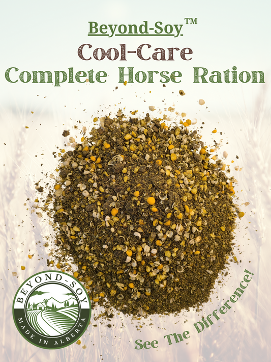 Cool-Care Complete Horse Feed - Farmstead Life Feeds