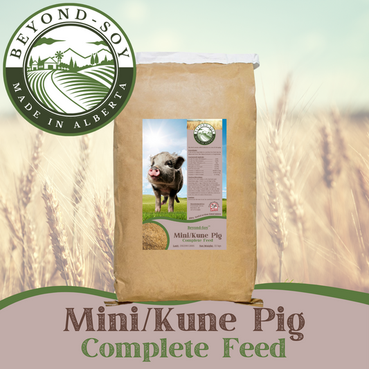 Mini/Kune Pig Complete Feed by Farmstead Life