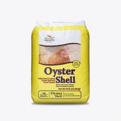 Oyster Shell