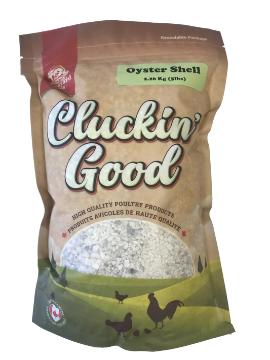 Oyster Shell