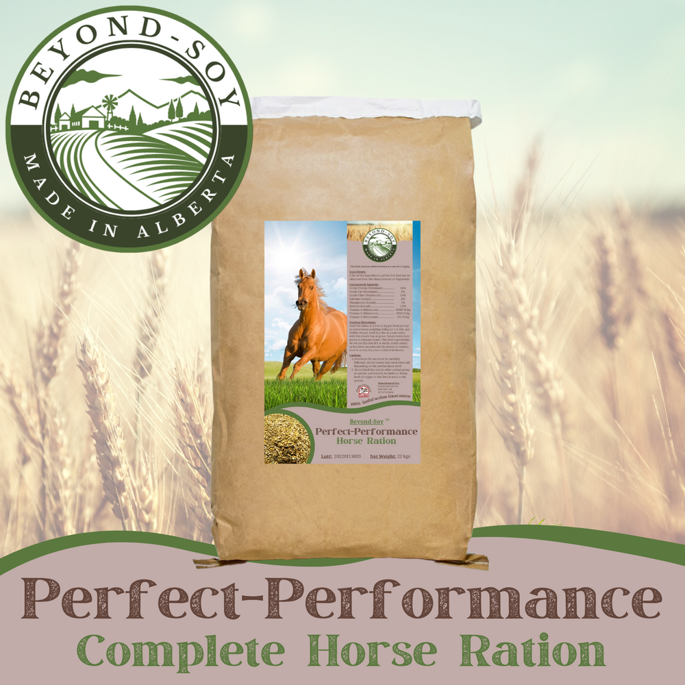 Perfect Performance Horse Ration by Farmstead Life Feeds