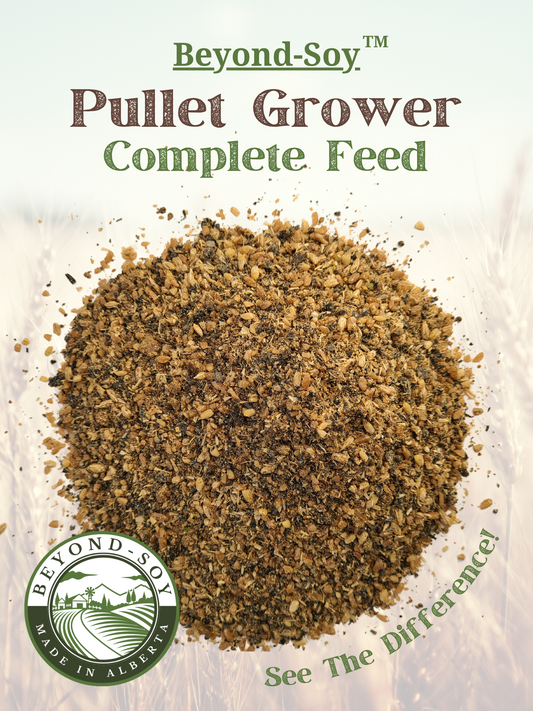 Pullet Grower - Beyond Soy - Farmstead Life Feeds