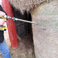 Hay Testing and Analysis