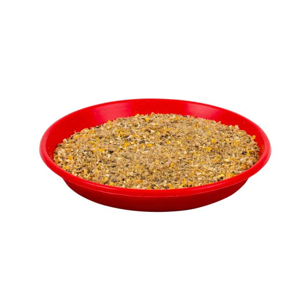 Chick Feed Tray