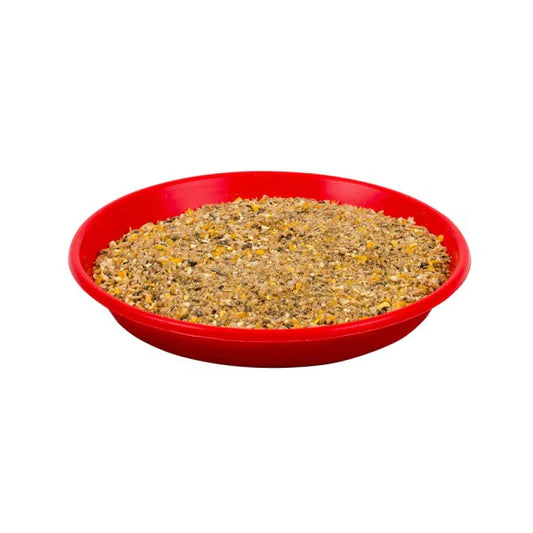Chick Feed Tray