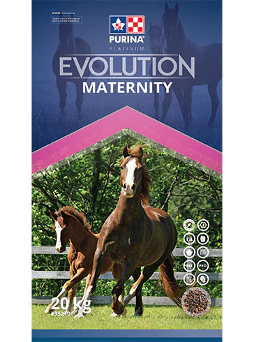 Evolution Maternity Horse Feed by Purina