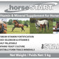 horseSTART Vitamin and Mineral for horses