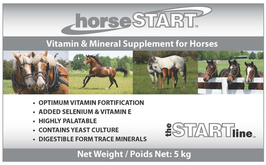 horseSTART Vitamin and Mineral for horses